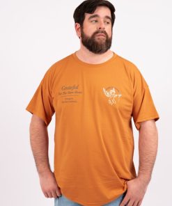 39075 - Remera Angel - Algodon