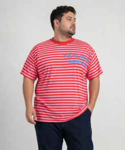 Alternative view of 39061 - Remera Island - Jersey Rayado Estampado